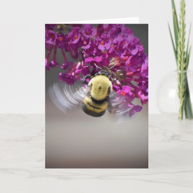 Bee, cartão (Frente)