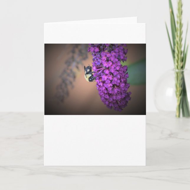 Bee, cartão (Frente)