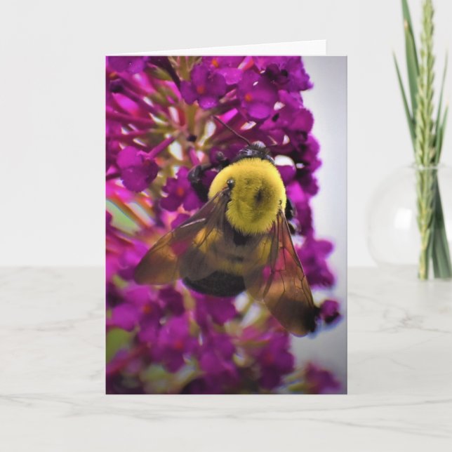 Bee, cartão (Frente)