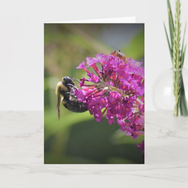 Bee, cartão (Frente)