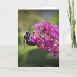 Bee, cartão