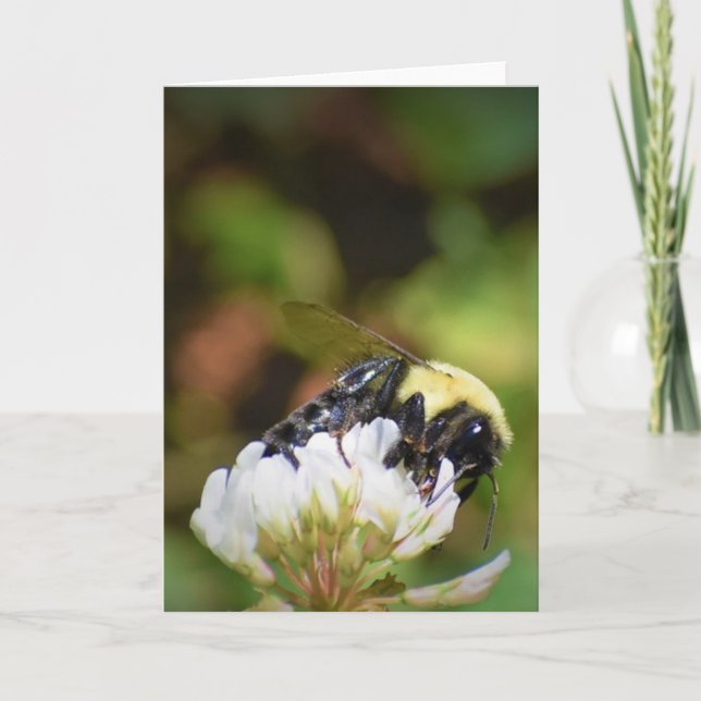 Bee, cartão (Frente)