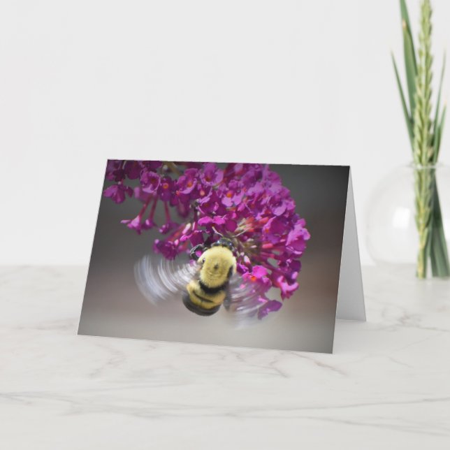 Bee, cartão (Frente)