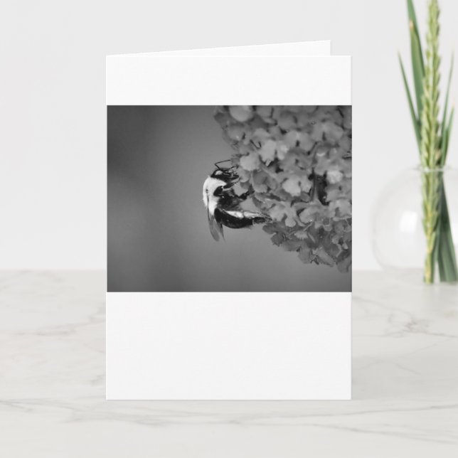 Bee, cartão (Frente)