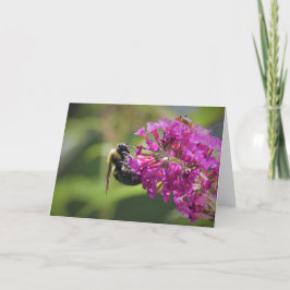 Bee, cartão