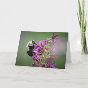 Bee, cartão