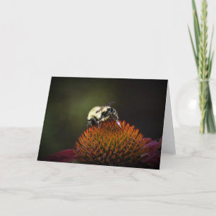 Bee, cartão