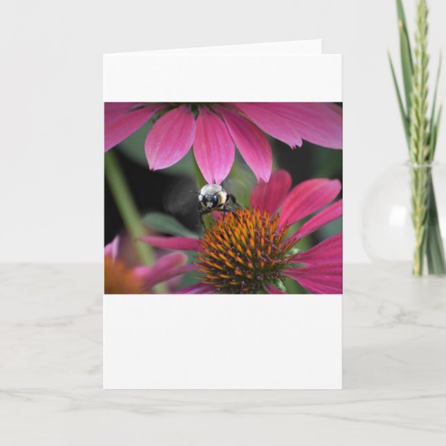Bee, cartão (Frente)