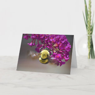 Bee, cartão