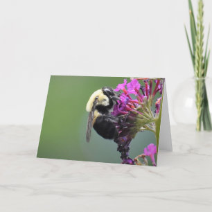 Bee, cartão