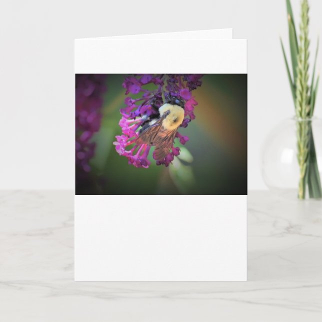 Bee, cartão (Frente)