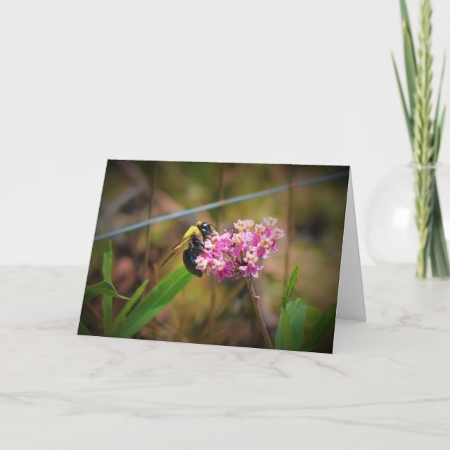 Bee, cartão (Frente)