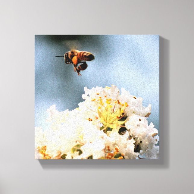 Bee Floral  Canvas Print (Frente)