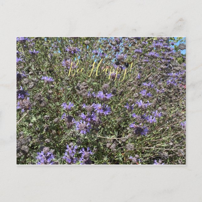 Bee Happy! Cartão postal Cleveland Sage (Frente)