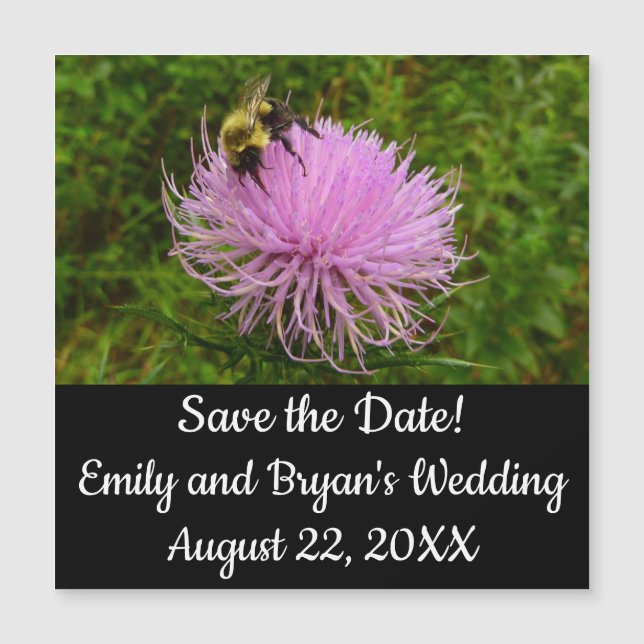 Bee on Thistle Flower Nature (Frente)