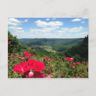 Beersheba salta cartão