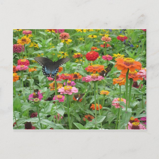 Beersheba salta cartão (Frente)