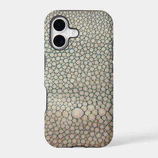 Bege de Shagreen