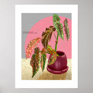 Begonia Impressão, Poster (Matte)