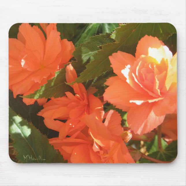 Begonias Photo Mousepad (Frente)