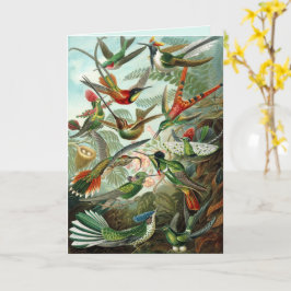 Beija-flores de Arte Fina Cartão de Abertura Perso