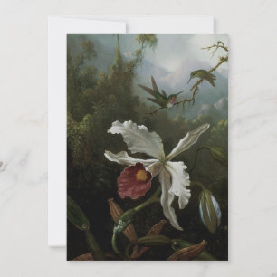 Beija-flores e Orquídea Branca por Martin J. Heade