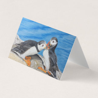 Beijar Puffins