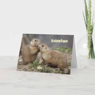 Beije-me cartão rápido - namorados