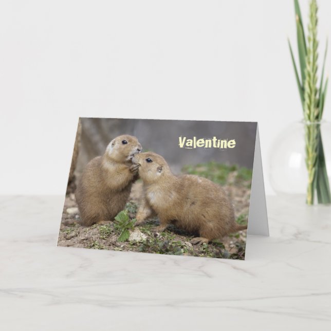 Beije-me cartão rápido - namorados (Frente)