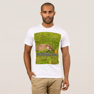 Beije um groundhog hoje. Obtenha um t-shirt do