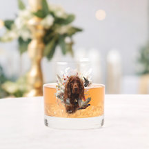 Bela Arte Irlandesa Setters