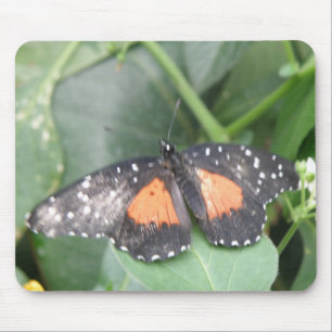 Bela Borboleta Mousepad