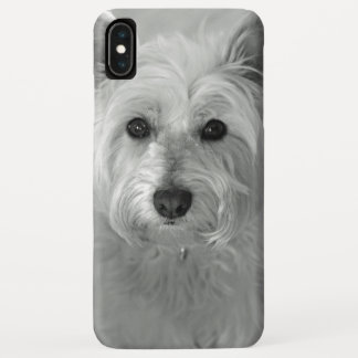 Bela capas de iphone de Cachorro Westie