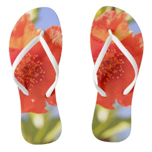 Bela Flor Vermelha Sapato Pé de Chinelo Céu Azul