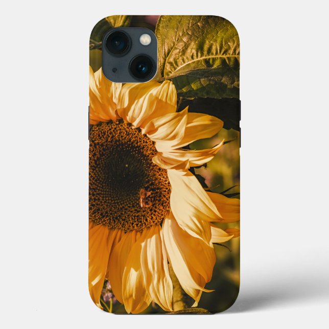 Bela Grande Girassol Amarelo Tough  (Verso)