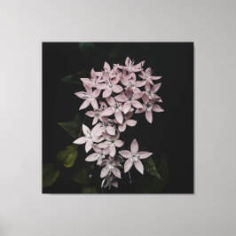 Bela imagem de flor no canvas