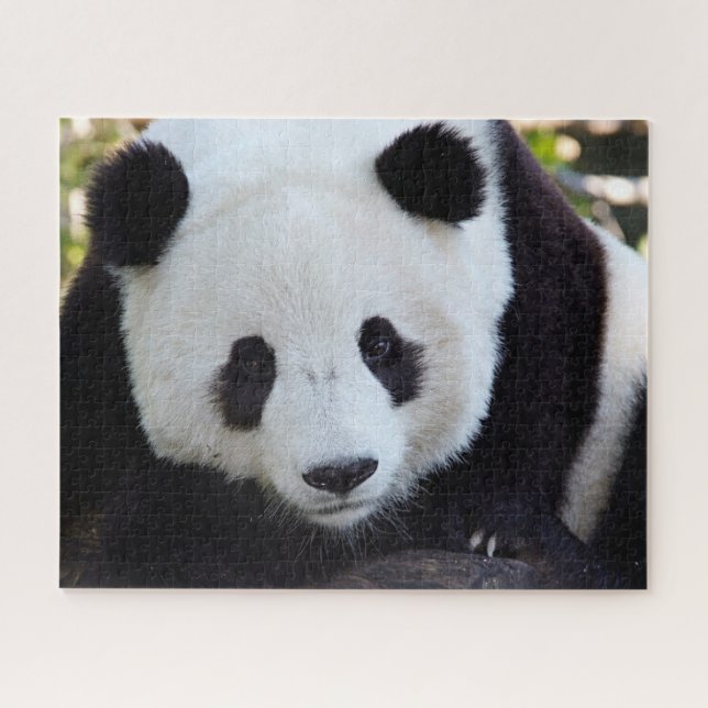 Bela Panda Gigante, Quebra-cabeça de serra (Horizontal)