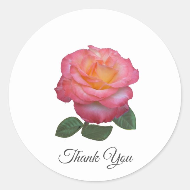 Bela Rosa Rosa Obrigado Clássico Adesivo Redondo (Frente)