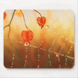 Belas de um Mousepad de Manhã de outono