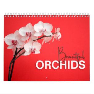Belas Orquídeas com o Calendário de Parede de 20