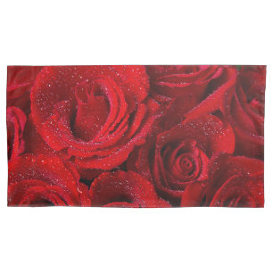 Belas Rosas vermelhas Com Gotas De Água