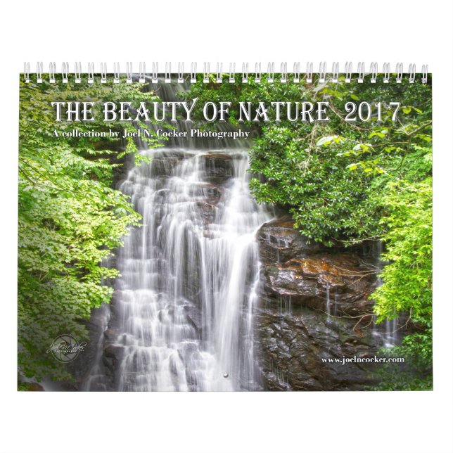 Beleza 2017 do calendário da fotografia da (Capa)