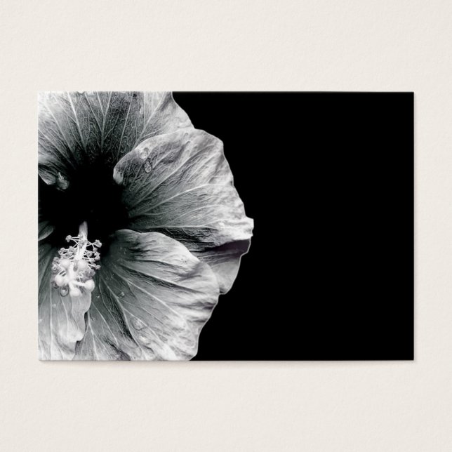 Beleza Amante (Frente)