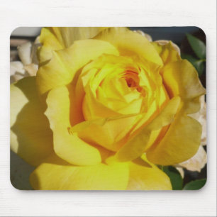 Beleza amarela Mousepad cor-de-rosa