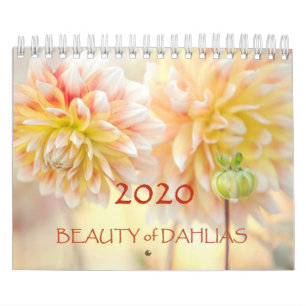 Beleza das Flores Dahlias 2020 Calendário