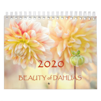 Beleza das Flores Dahlias 2020 Calendário