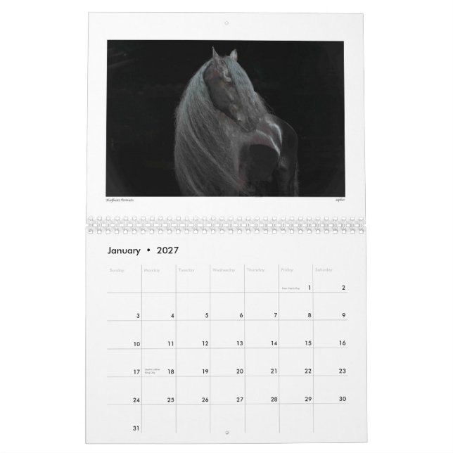 Beleza do calendário 2015 do cavalo (Jan 2027)
