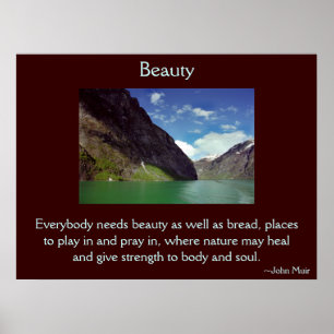 Beleza do poster da natureza