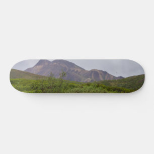 Beleza Giratória em Denali Skateboard