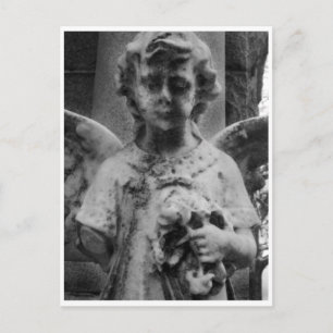 Beleza meteorológica, cartão de gabinete